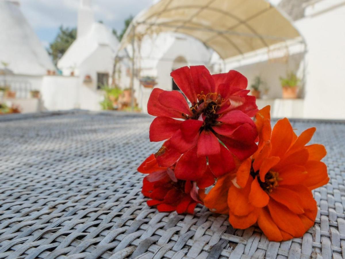 Trullo Chiari Di Bosco Βίλα Μαρτίνα Φράνκα Εξωτερικό φωτογραφία